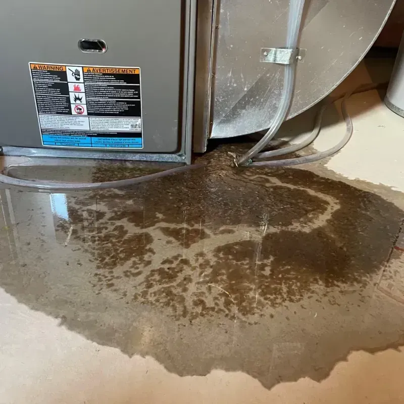 Appliance Leak Cleanup in Moravian Falls, NC